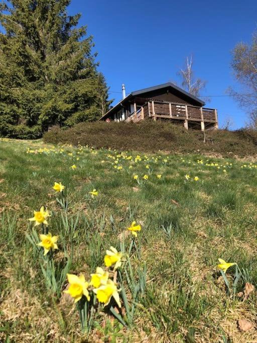 Le Chalet Des Coeurs Le Tholy Ngoại thất bức ảnh