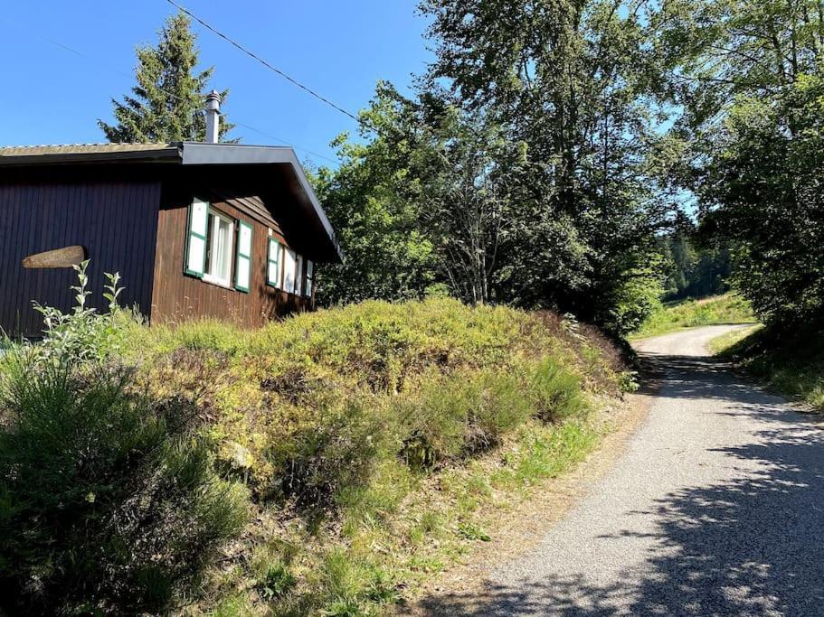 Le Chalet Des Coeurs Le Tholy Ngoại thất bức ảnh